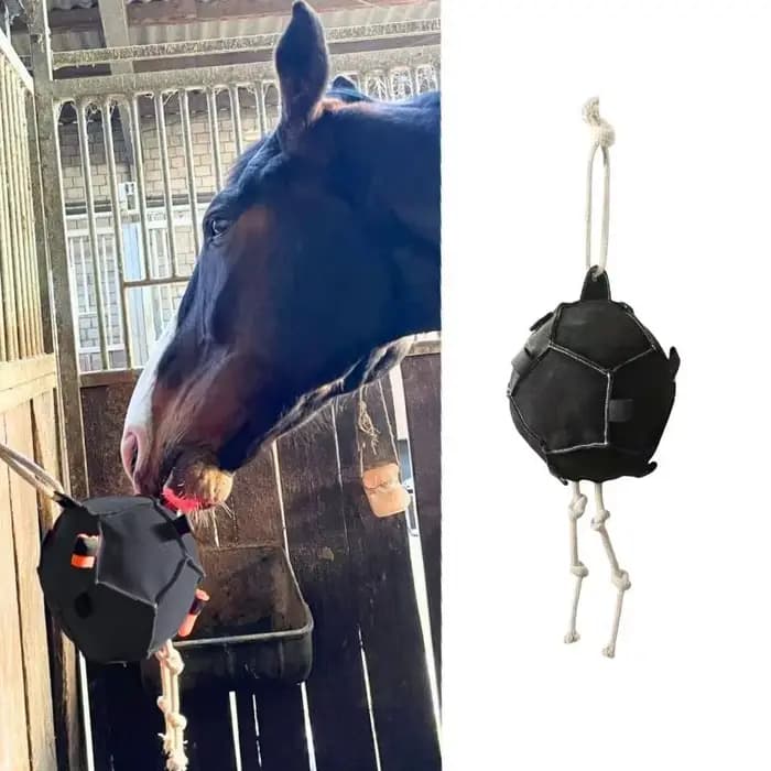 Jouet d'enrichissement pour l'entraînement des chevaux : boule à foin résistante à la mastication po