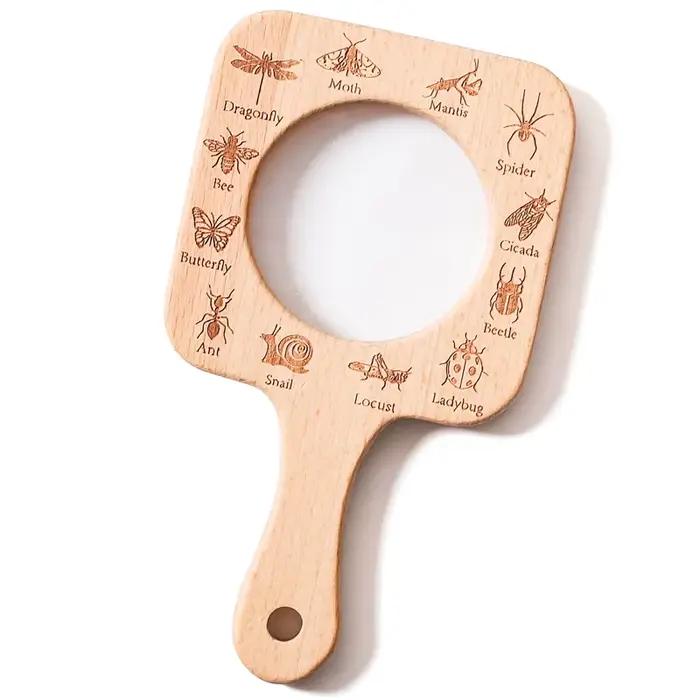 Kit d'explorateur en plein air pour enfants, feuille d'insecte, jouet d'exploration cognitive, ensem