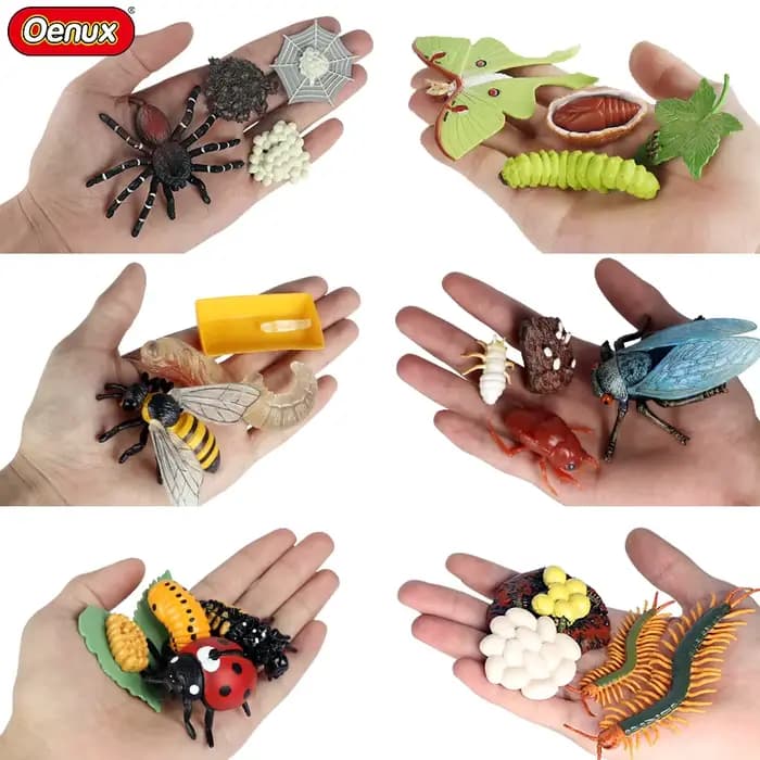 Oenux Simulation Luna papillon saumon fourmis Cycle de croissance de la vie animaux modèle figurines
