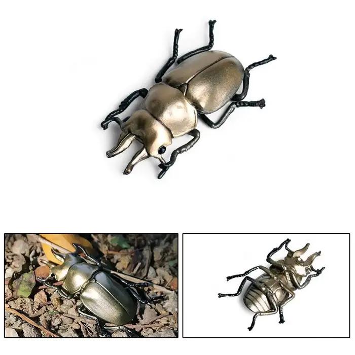 Figurines d'animaux insectes réalistes, modèle d'insecte sauvage, Science, coccinelle, dynastes éduc