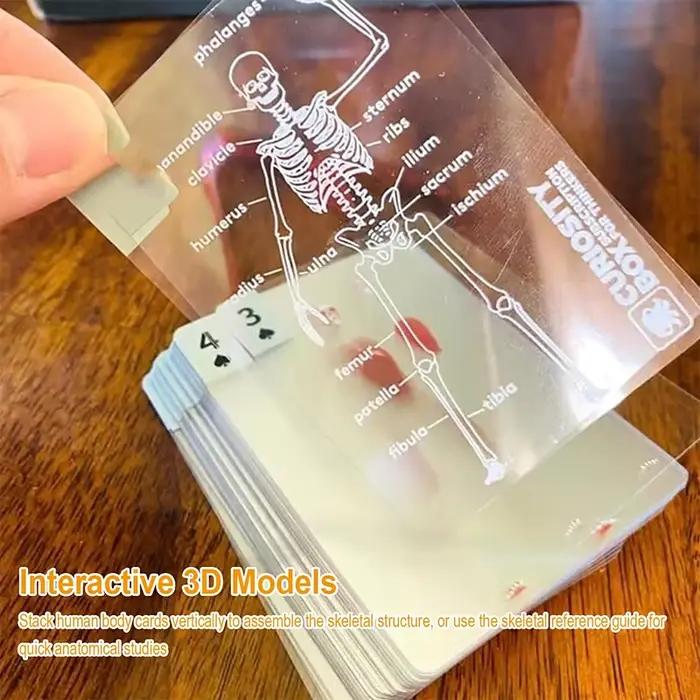 Cartes à jouer de pont corporel, cartes à jouer d'anatomie humaine intéressantes, jeu de cartes, fête de divertissement