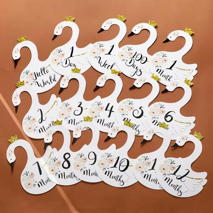 Ensemble de Souvenirs de Bébé Nouveau-né