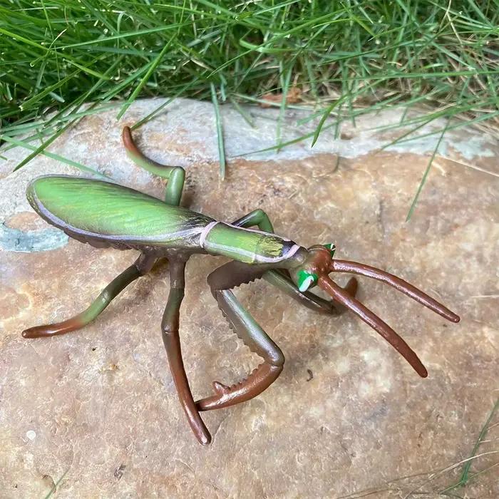 Figurine d'insecte réaliste Mantis sauterelle