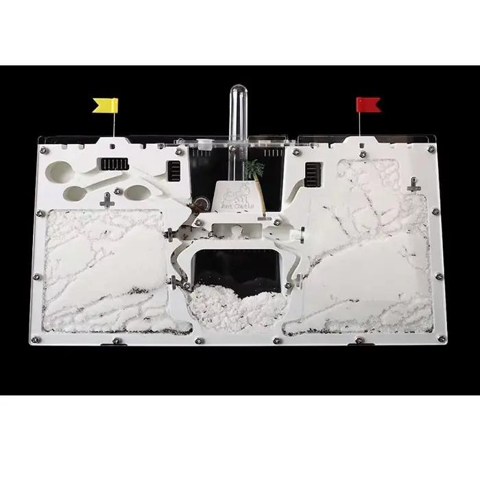 Grande formiche usine fourmis maison château insectes Terrarium fourmi Cage insectes boîte pépinière écologique enfant modèle éducatif