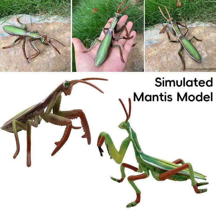 Figurine d'insecte réaliste Mantis sauterelle