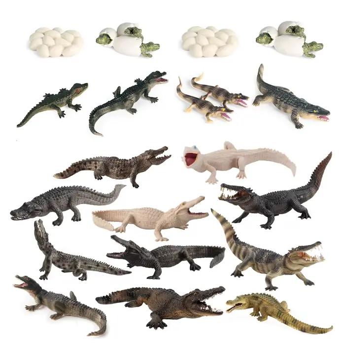 Jouet de crocodile Figure jouets Alligator modèle Cycle de vie Playset Figurines d'animaux figurine d'action Reptile animaux enfants cadeaux jeux