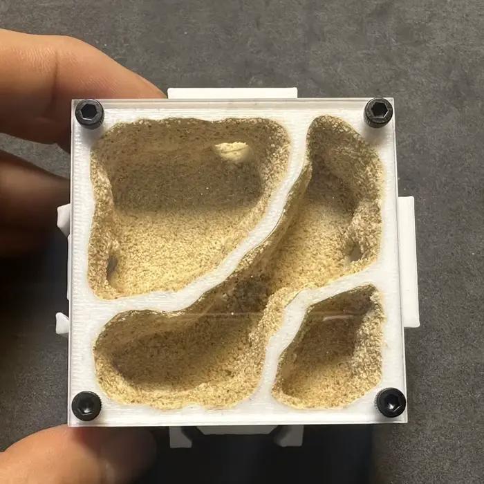 Formiques ferme avec mangeoire à eau pour gardien de fourmis, nouvelle reine et petite fourmi, colonie, maison de fourmi, nid de fourmi Anthill Formicarium