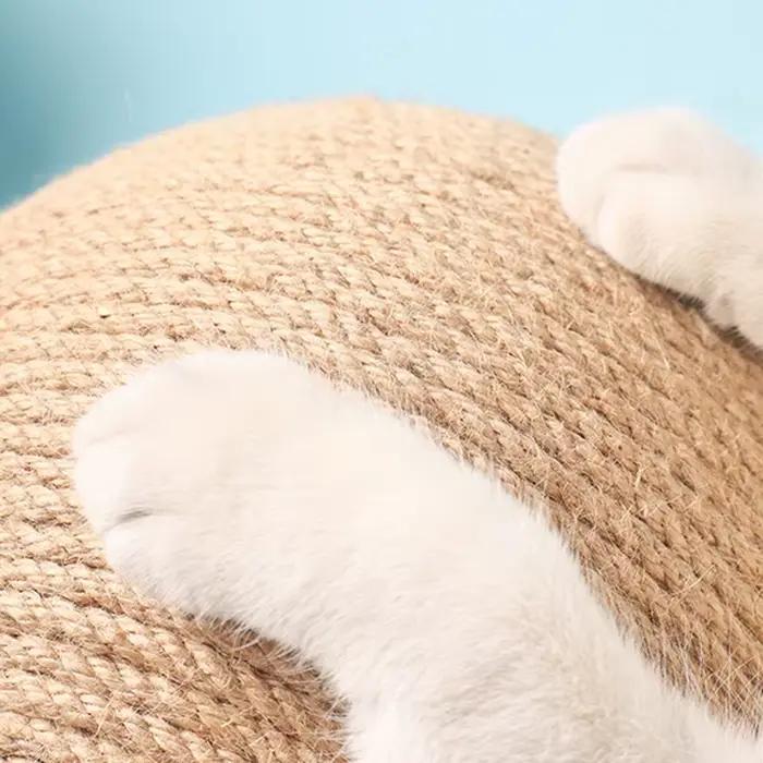 Jouets en Forme de Balle pour Chat