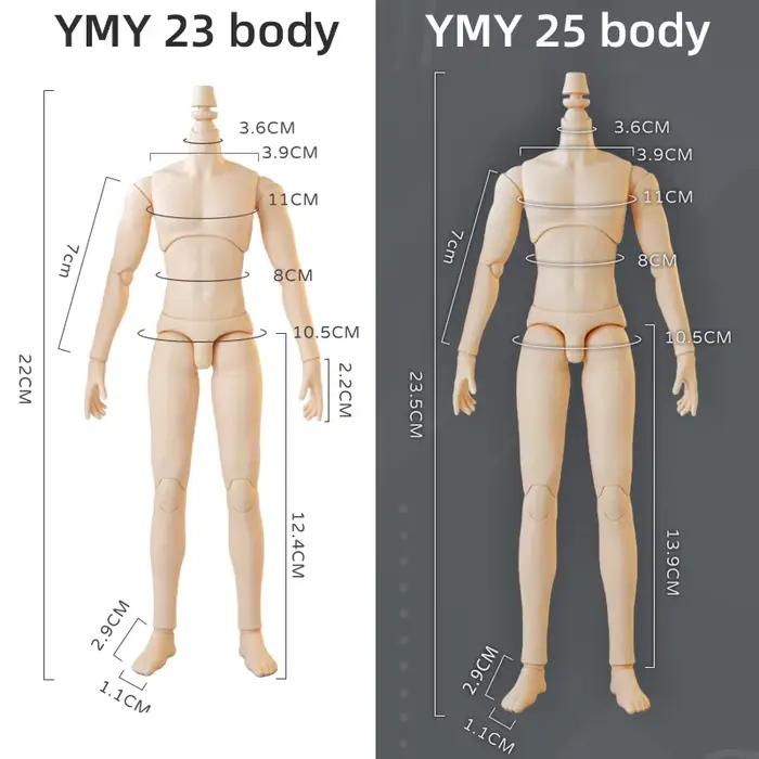 Corps de poupée masculine 1/7 Bjd