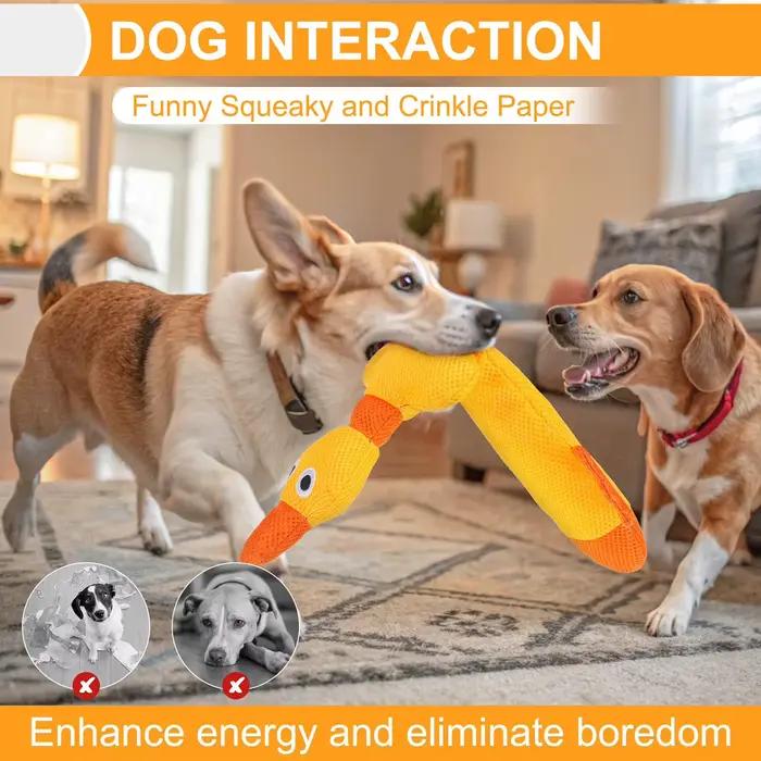 Jouets de piscine d'eau flottants pour chiens, 2 paquets, adaptés aux chiens de taille moyenne/grande, jouets de piscine conçus par le canard Zizi, jouets d'été pour chiens