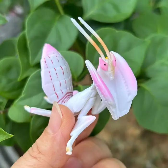 Figurine d'insecte réaliste Mantis sauterelle