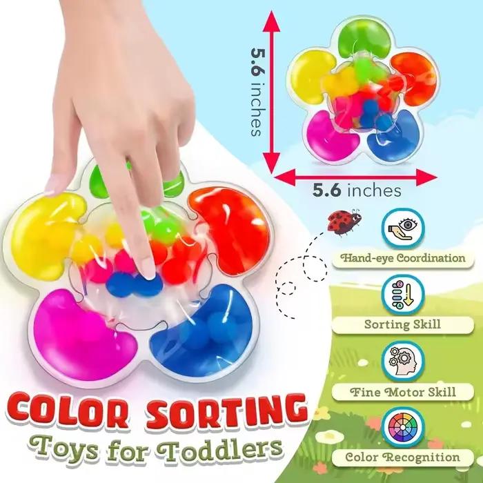 Jouets sensoriels de tri des couleurs