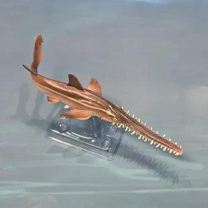 Toymany Simulation Sawshark océan modèle Animal jouet Mini figurines poupées
