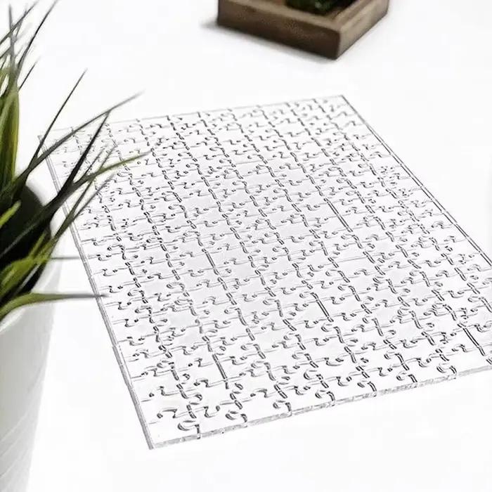 49/121/200/300 pièces cadeau drôle Unique acrylique Puzzle défi Impossible soulager le Stress décompression jeu famille