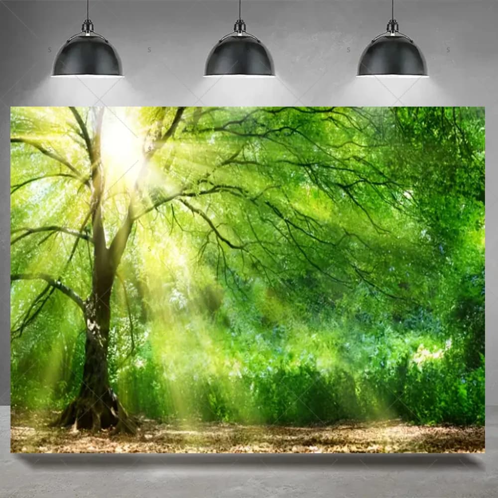 Forêt des bois paysage naturel toile de fond fournitures été arbre Tropical pays des merveilles phot