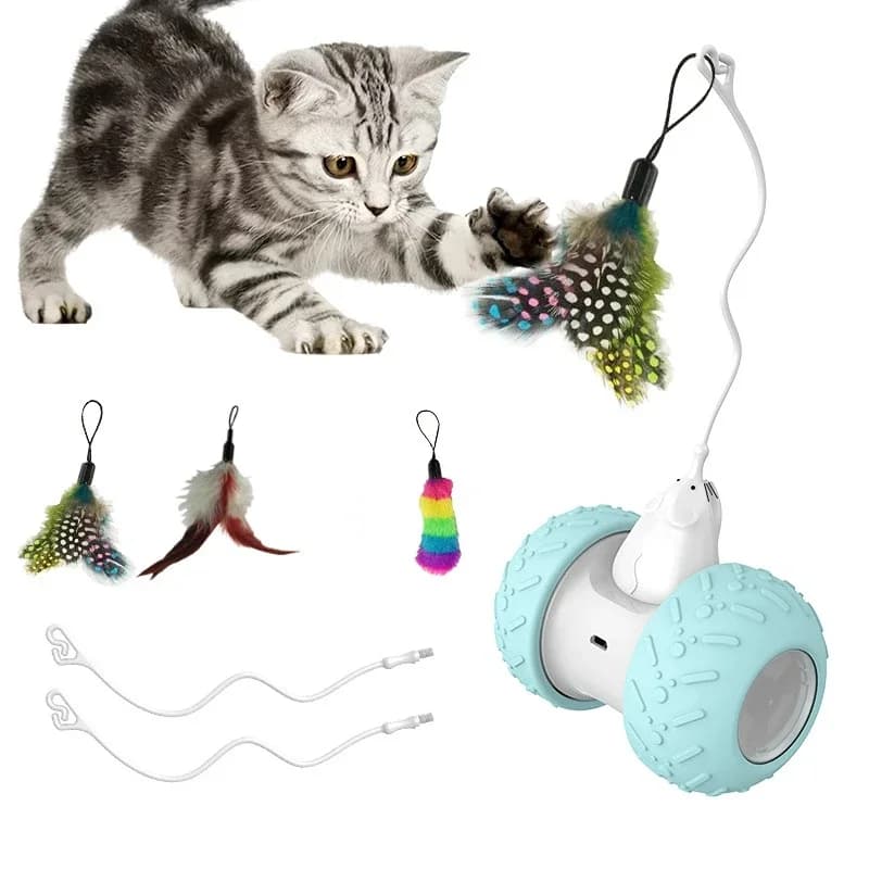 Jouets interactifs pour chats d'intérieur, jouets électroniques automatiques pour chatons avec souri
