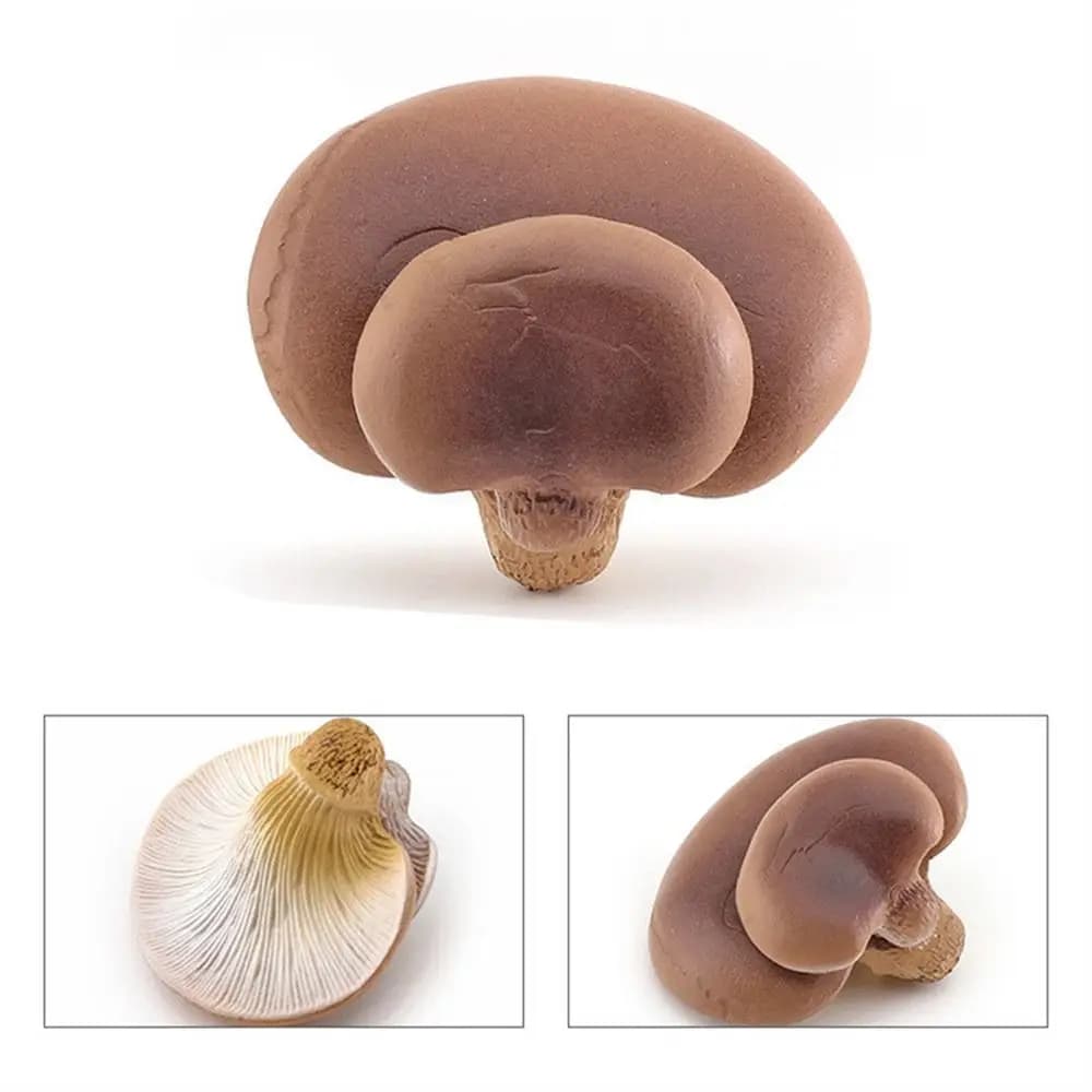 Modèle végétal Figurines de champignons Miniatures de paysage Matsutake Oyste Simulation champignon 