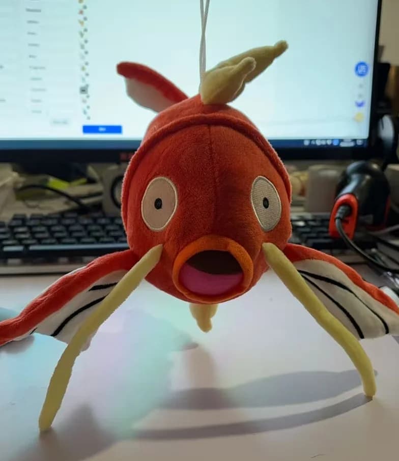 Jouet en peluche Pokemon Pikachu Charizard, poupée Gengar écureuil, particulier Glaceon Umbreon, jou