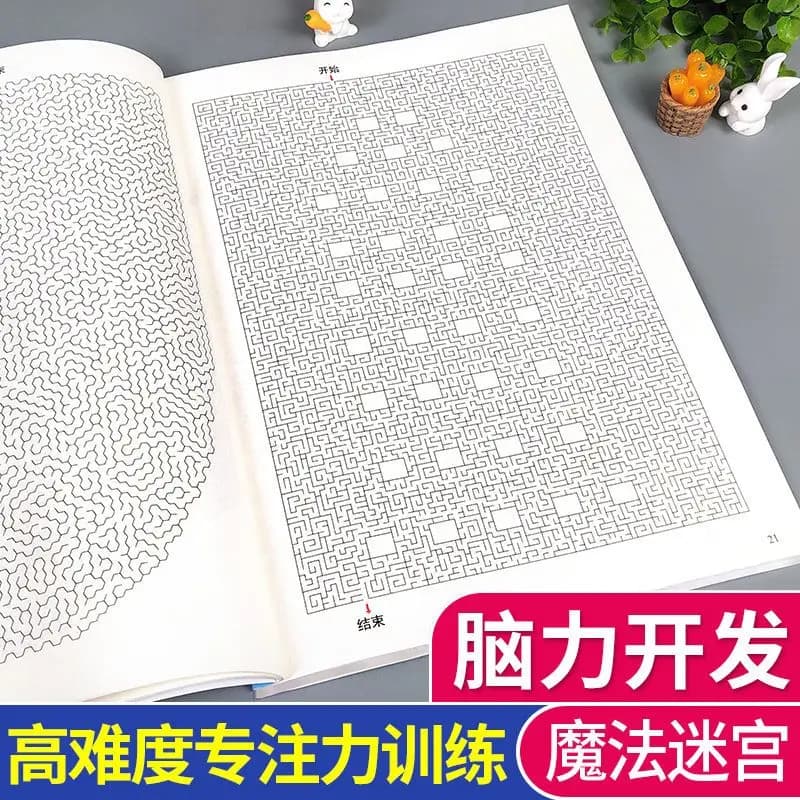 Livre de labyrinthe haute difficulté, formation au point, jeu de réflexion, livre de formation, déve