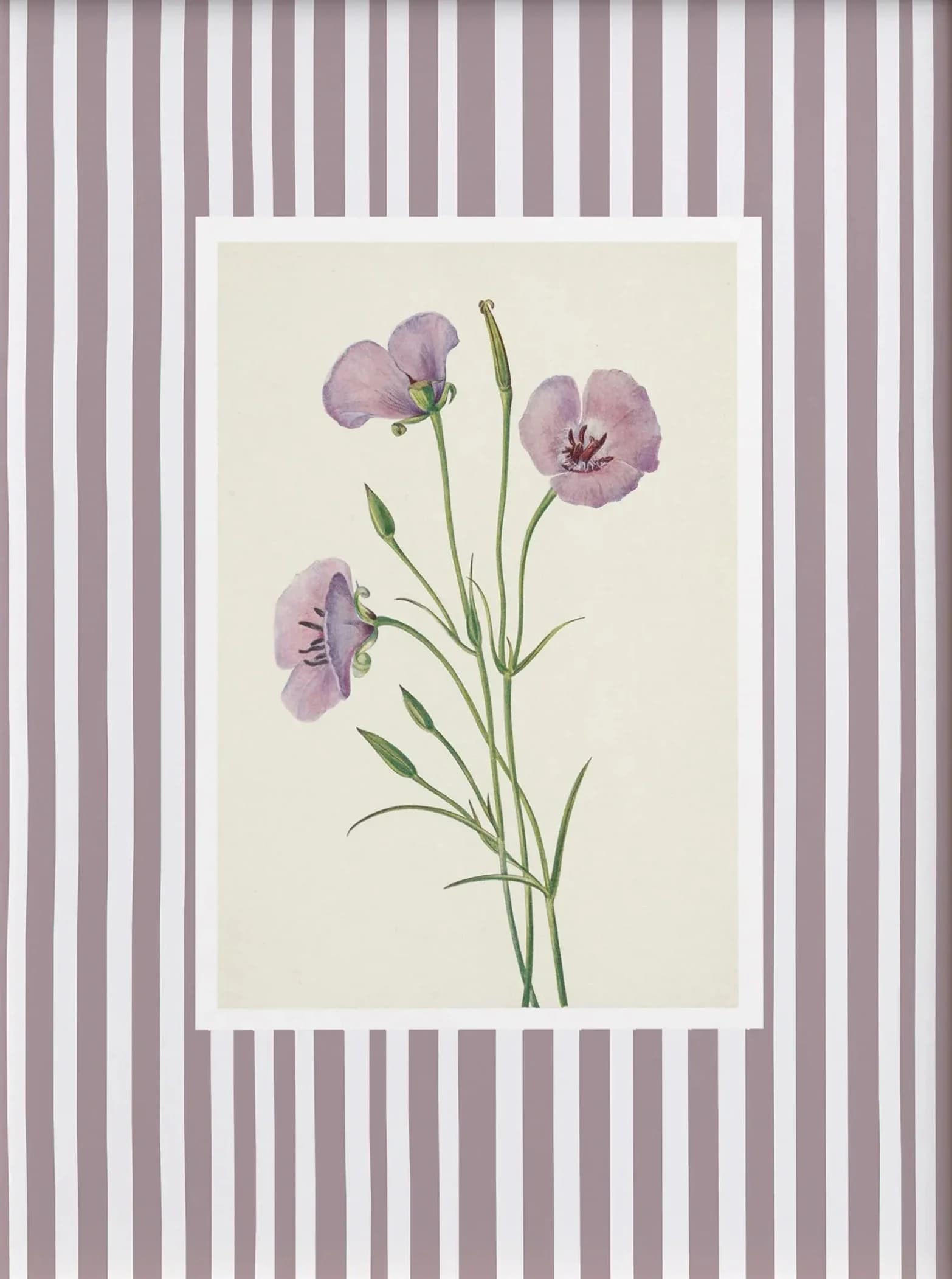 Toile imprimée à rayures avec plante de muguet bleu, tournesol, grenade, affiche d'art mural de jard
