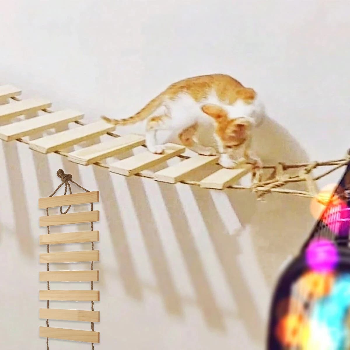 Échelle d'escalade en bois naturel pour chat, pont d'arbre polyvalent pour Cages, armoires, idéal po