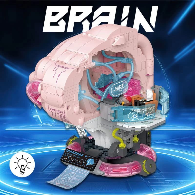 Idée de Construction d'organes, bloc cérébral en brique, figurines de médecin, ensembles de modèles 