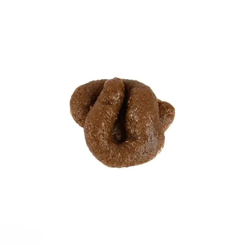 Caca réaliste en plastique sûr et souple, fausse crotte, jouets amusants et farfelus, blagues, jeux,