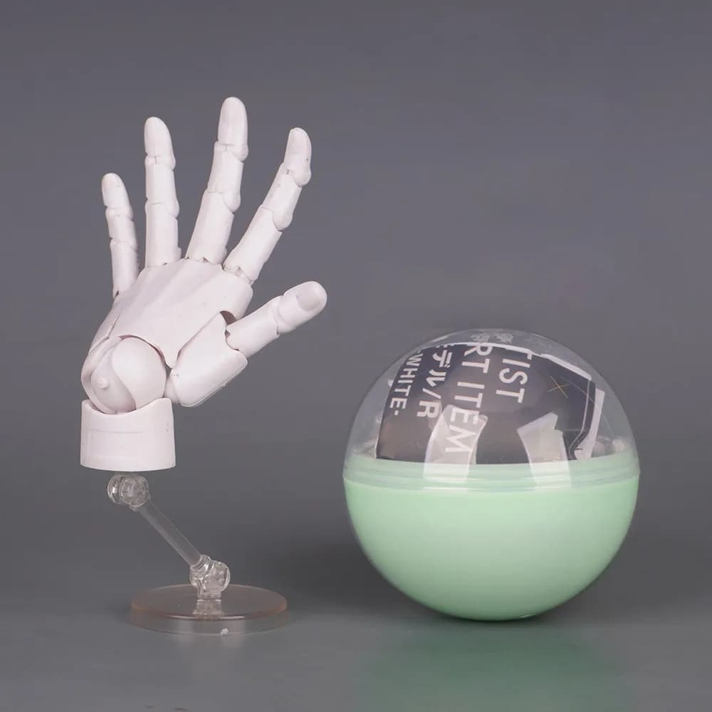 Modèle de main humaine à l'échelle 1:2, articulations mobiles, modèle de paume miniature avec doigts