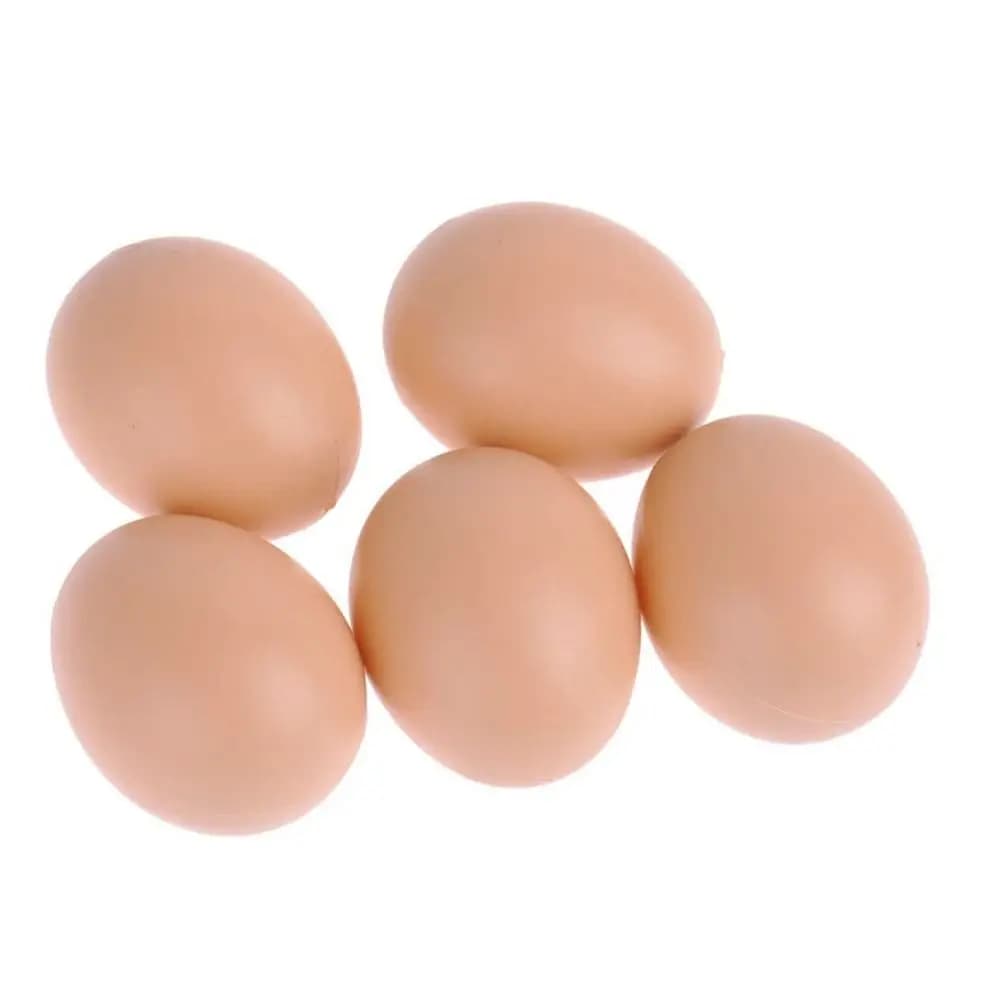 Jouet poule volaille trappe élevage bricolage peinture Simulation oeufs jouet éducatif oeufs artific