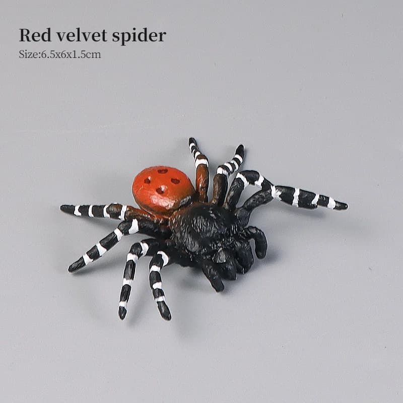 Jouets éducatifs d'araignée et d'insectes, ensemble de figurines d'action du Zoo, modèle d'apprentis