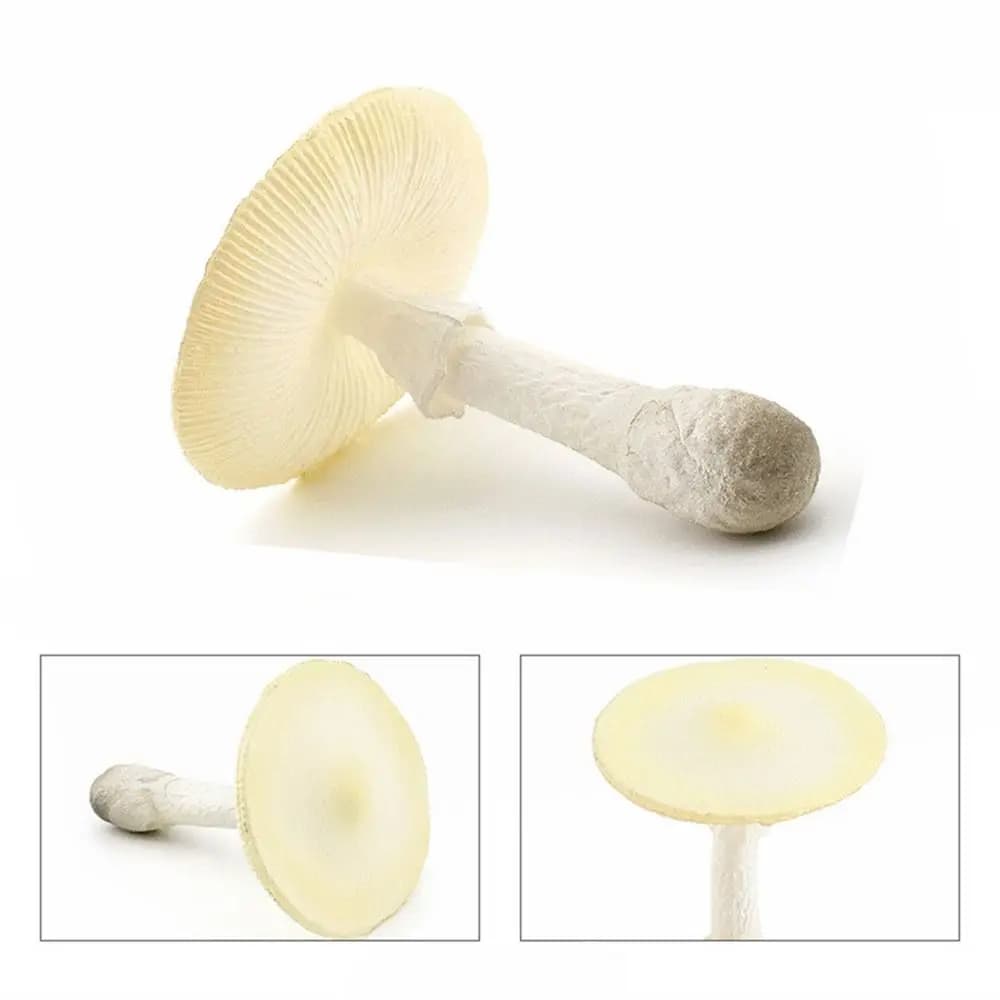 Figurines de champignons modèle végétal Matsutake Oyste, Simulation artificielle de paysage de champ