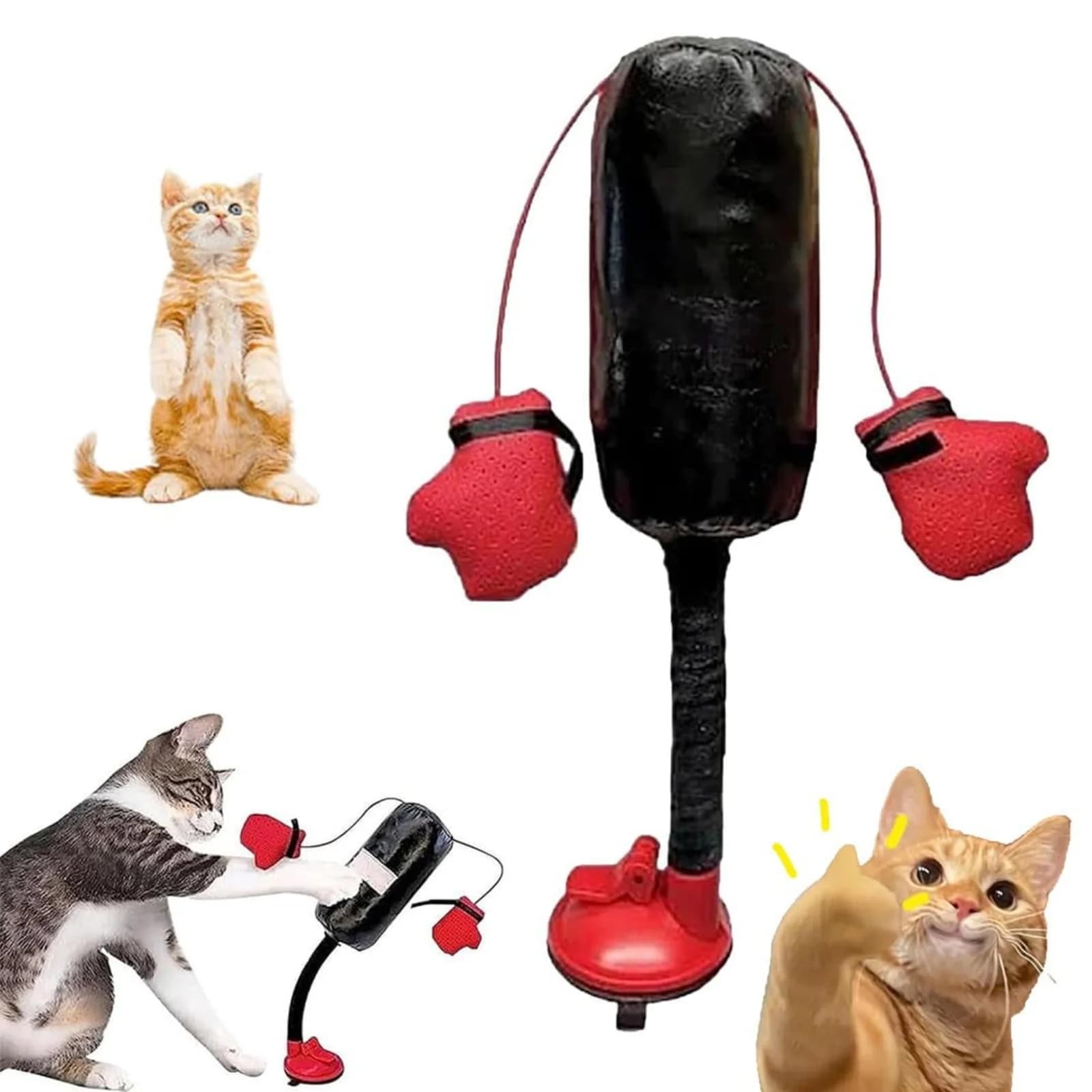 Jouet de boxe interactif pour chat, sac de boxe pour chat, jeu autonome, gymnastique pour chatons, s