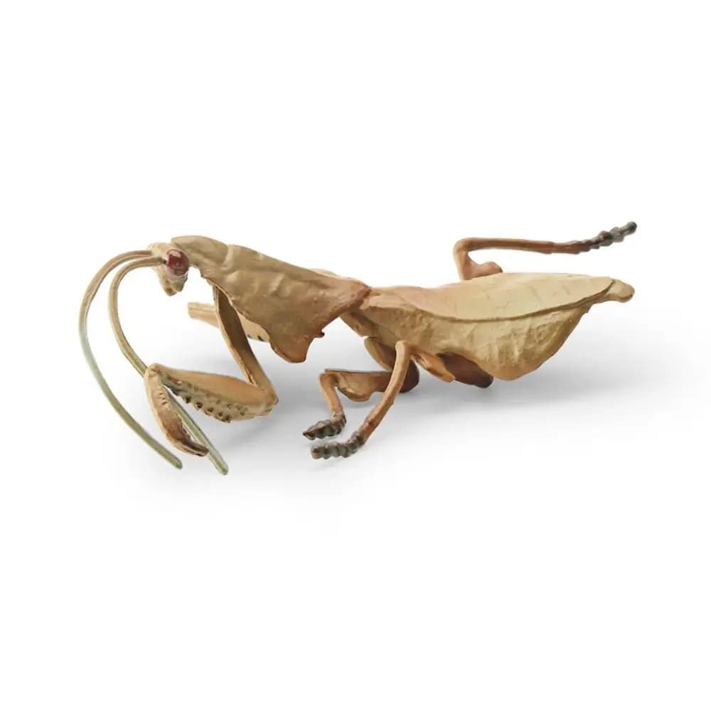 Figurine miniature de Mantis, jouets scientifiques, ornements éducatifs, insectes simulés, modèles r