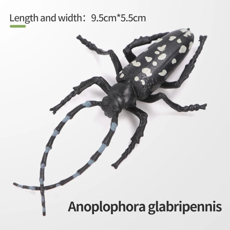 Ensemble de figurines d'insectes et d'animaux sauvages éducatives - Araignée, papillon, escargot - J