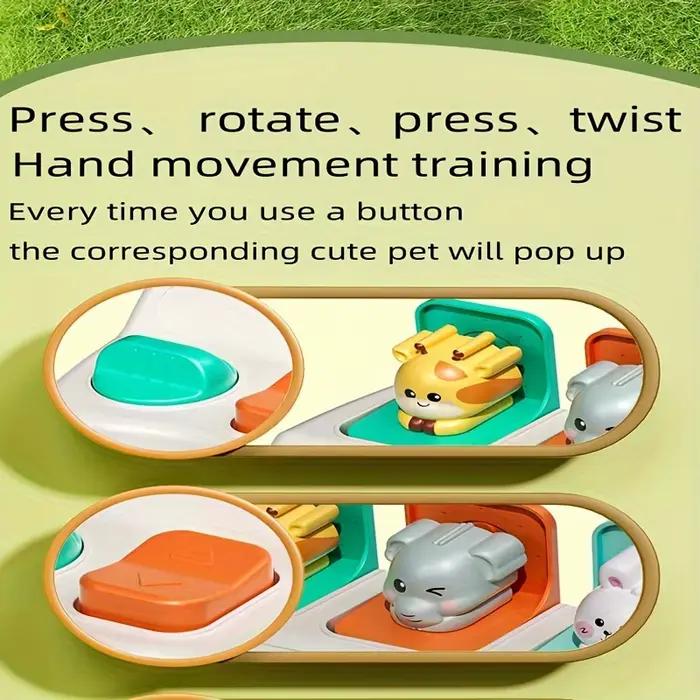 Jouets animaux pop-up Montessori et boîtes d'apprentissage – Améliore la logique et les motricité, c