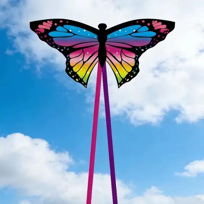 Cerf-volant papillon pour adultes, cerfs-volants de sport, cerf-volant oiseau, ligne de cerf-volant,