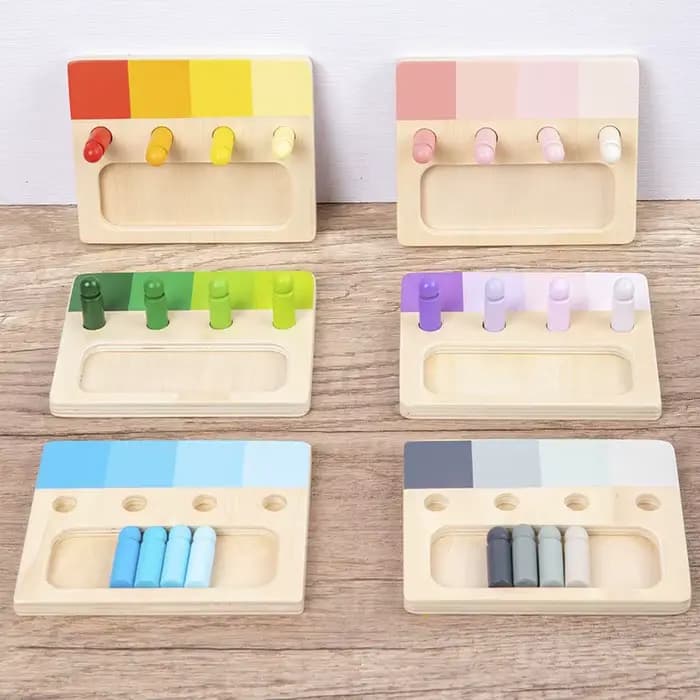Jouet Montessori en bois, système de détection des couleurs, planche d'insertion en bois, 24 couleur