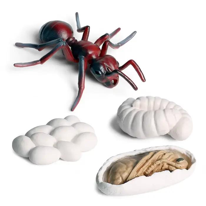 Oenux Simulation Luna papillon saumon fourmis Cycle de croissance de la vie animaux modèle figurines d'action éducatif