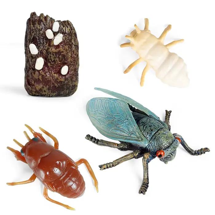 Oenux Simulation Luna papillon saumon fourmis Cycle de croissance de la vie animaux modèle figurines d'action éducatif