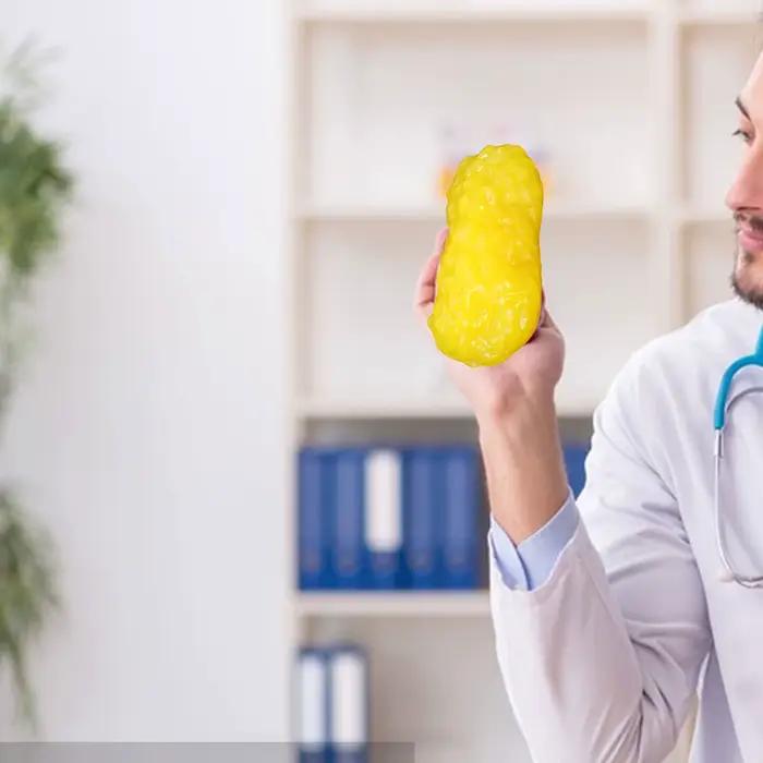 Modèle d'anatomie de physiologie d'enseignement en classe de graisse corporelle humaine, Train de fitness, modèle de graisse simulée humaine pour infirmière d'hôpital scolaire