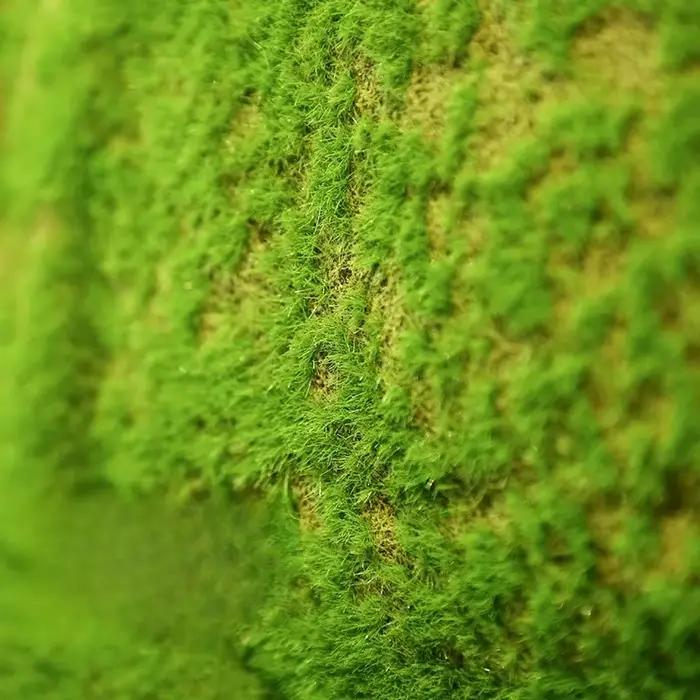 Simulation de mousse de gazon artificiel