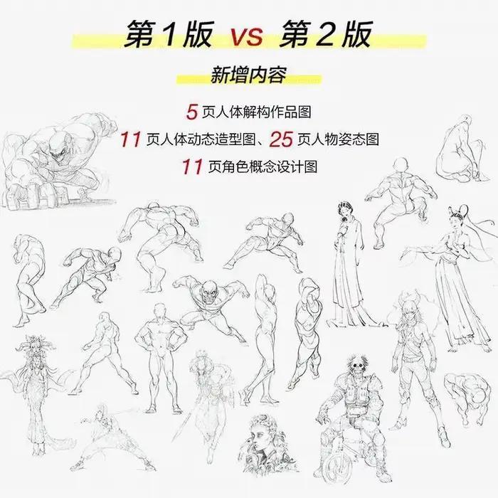 Enseigner les principes de la Structure humaine et le jeu de dessin, livres de modélisation de la Structure humaine, compétences de dessin à la main