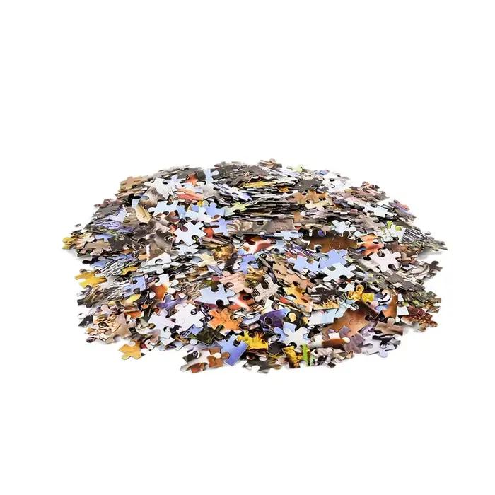 Papier adulte Puzzle 1000 pièces
