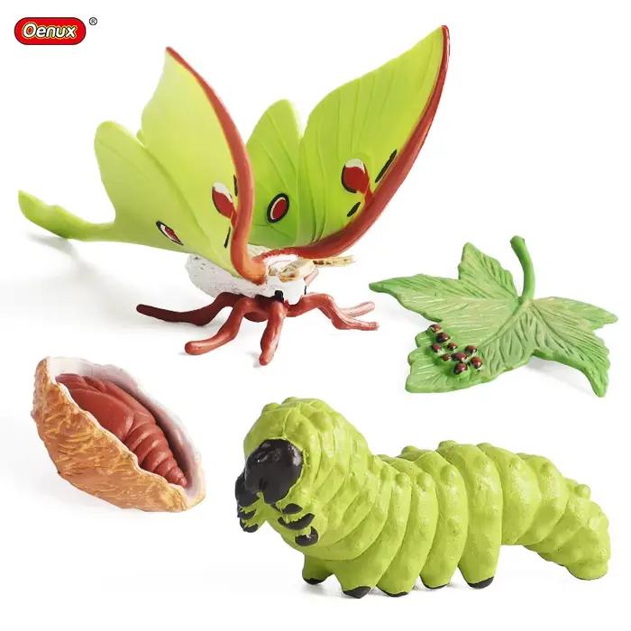 Oenux Simulation Luna papillon saumon fourmis Cycle de croissance de la vie animaux modèle figurines d'action éducatif