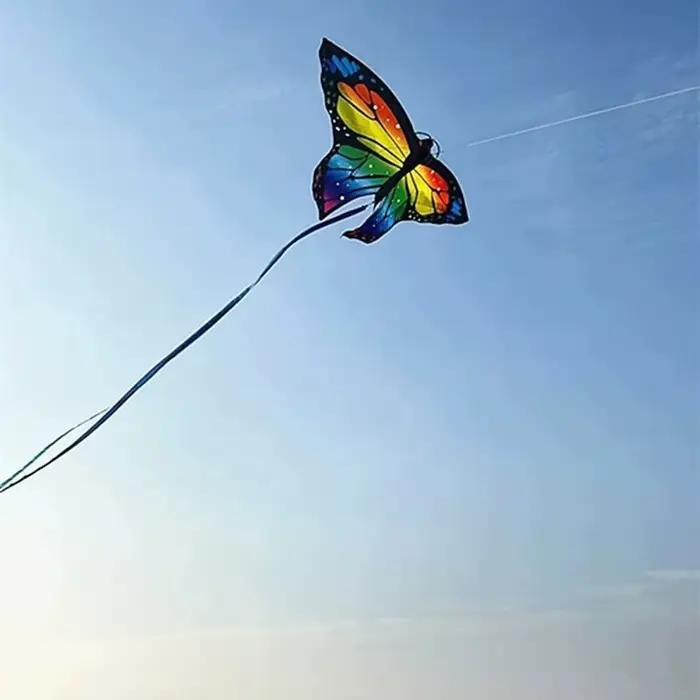 Cerf-volant papillon coloré