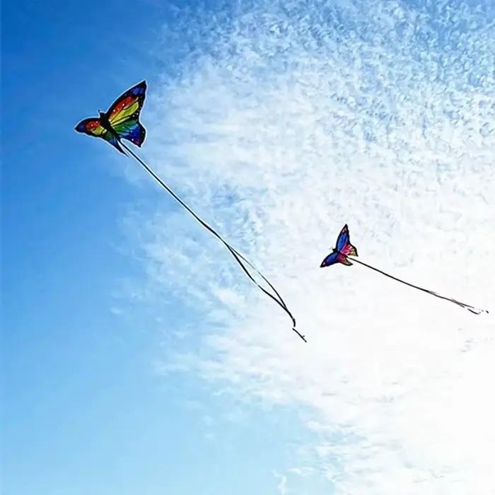 Cerf-volant papillon coloré