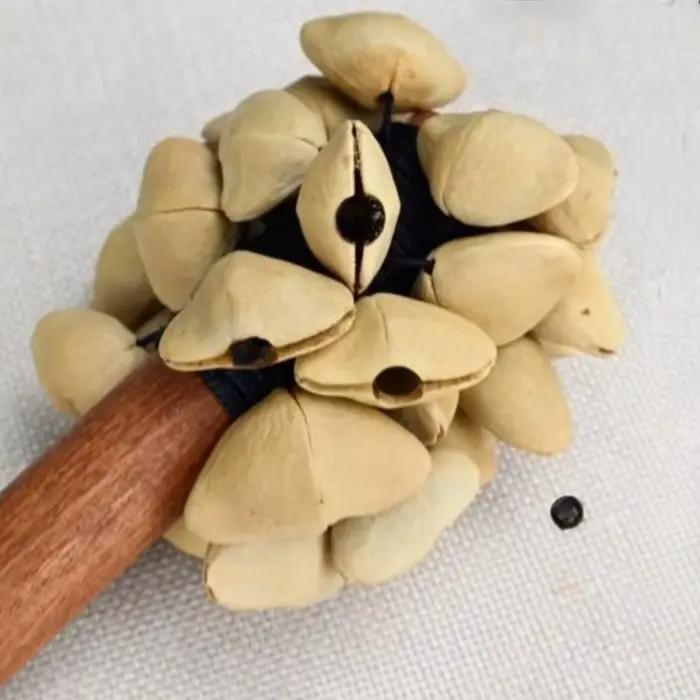 Carillons éoliens pour diapason, méditation, Yoga, son de guérison, Relaxation, cloches à main, écrou spirituel, coque, Instruments de musique
