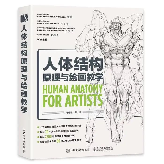Enseigner les principes de la Structure humaine et le jeu de dessin, livres de modélisation de la Structure humaine, compétences de dessin à la main