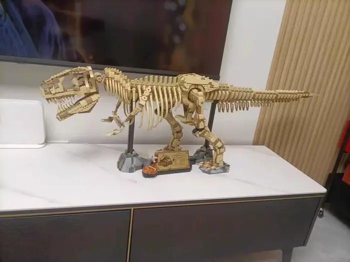 Squelette fossile de dinosaure Tyrannosaurus Rex