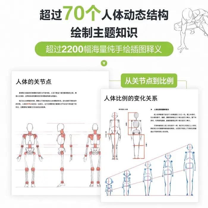 Livre d'enseignement d'anatomie humaine pour artistes, livre d'enseignement de la Structure du corps humain et de la peinture